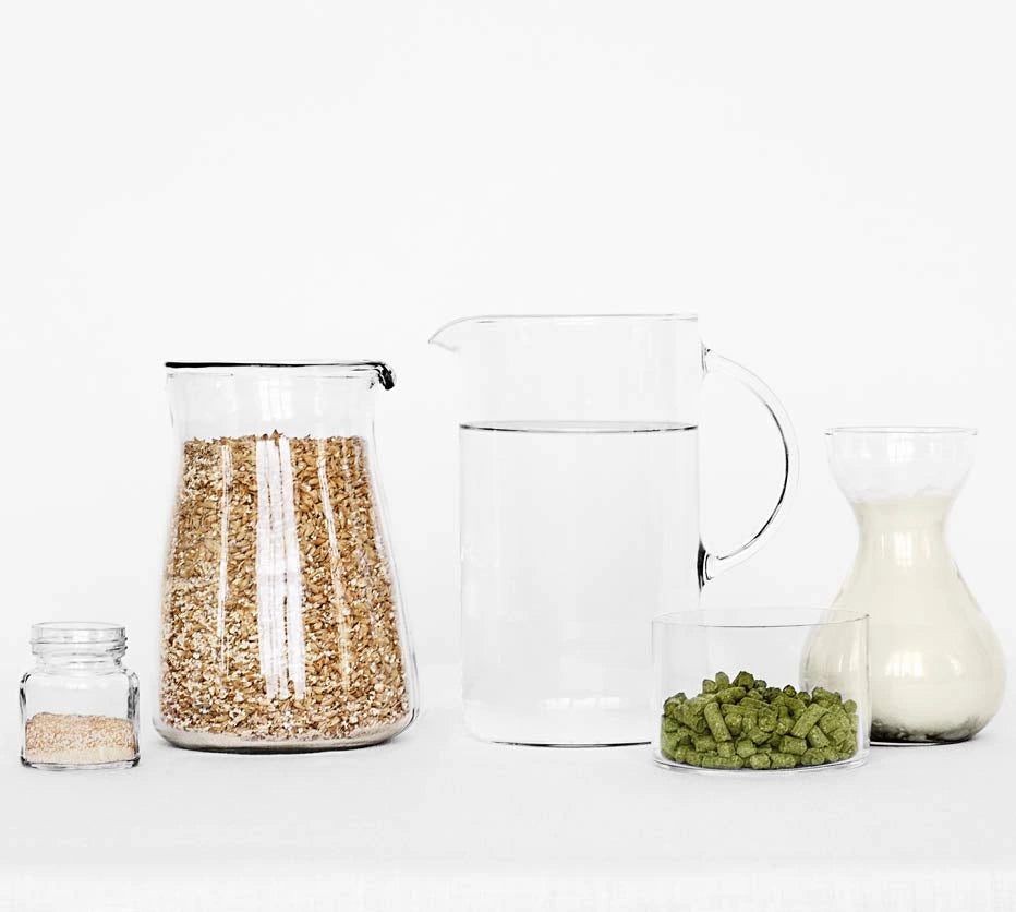 Gluten-free IPA Brew Kit