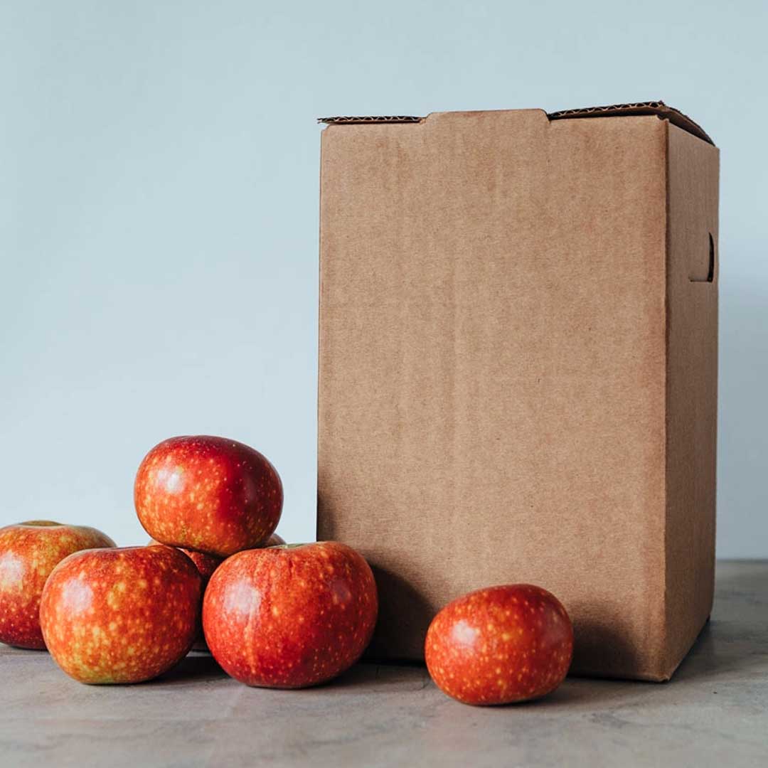 Cider Recipe Kit