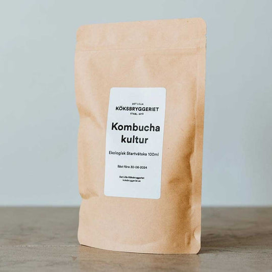 Kombucha Starter